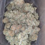 Packman mystery OG